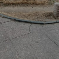 球勝狼和豹姐