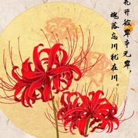 故事片段