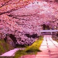 一见钟情情难自控