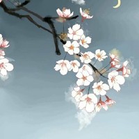 煉獄杏壽郎x原創(chuàng)女主