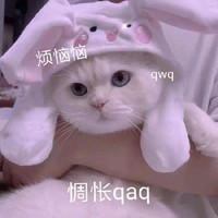一眼惊鸿系列