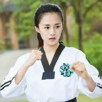 旋风少女2改编