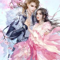 傲嬌王爺俏皮妃