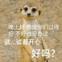 穿成劉喪