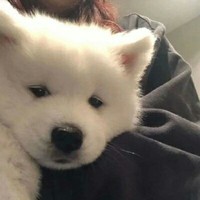 獸人世界