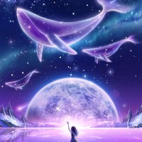 紫燕星辰文社