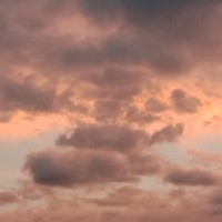 頂流明星和助理