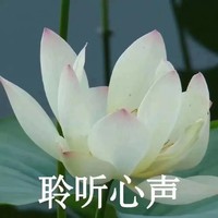 花瓶偶像