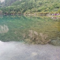 夢比優(yōu)斯是團(tuán)寵
