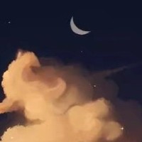 少年的夏天