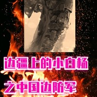 中国边防军