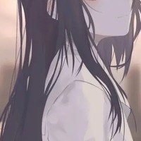 查理九世乙女文