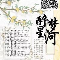 醉梦星河