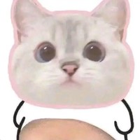 宿遙