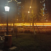 木公子