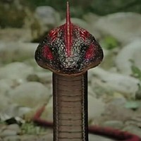 新九門