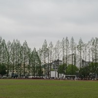 芳月鹤守月