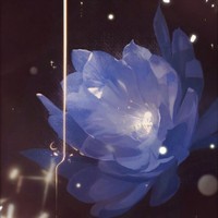 醫(yī)生vs病患