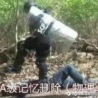 脑叶铁粉