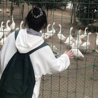 往死里面磕