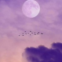 睡前微恐怖故事