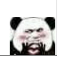 火爆女主