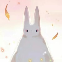 DOLO命运胶囊