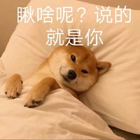 轻松搞笑爱情故事