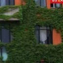 和原作完全不占边