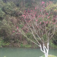 各种类型任君挑选
