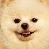每一章更的很少