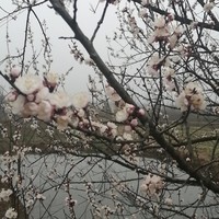 忆往昔峥嵘岁月