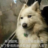 當代舔狗現(xiàn)狀