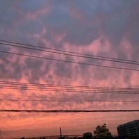 关于初恋