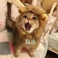 寵物控
