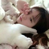 王思藝