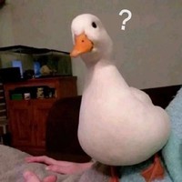 恋爱副线
