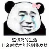 金主爸爸带带我