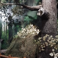 奇幻梦旅