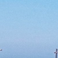 浩帝雪恋