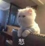 小學(xué)生文筆的瞎搞文