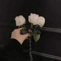 校園小姐姐