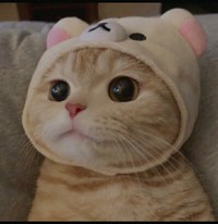 吃人的主角