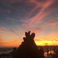 言情小说异族情缘