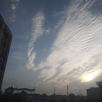 荼瑤