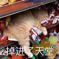 南洛北辰