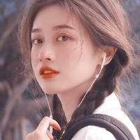 揽月摘星铺
