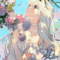 作者澜雪依依
