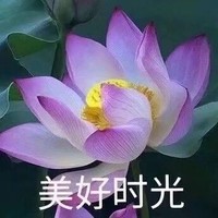 猜角色