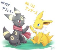 雷伊布and月伊布